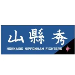 日本ハムファイターズ　選手直筆応援タオル　山縣秀 #54