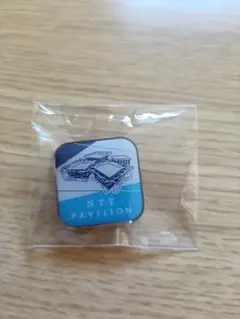 【未開封品】NTT Pavilion ピンバッジ