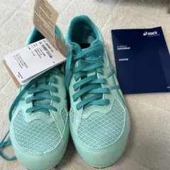 Item thumbnail for item 22858a67-fad4-4f73-9d4d-cd6ebb1cfe56