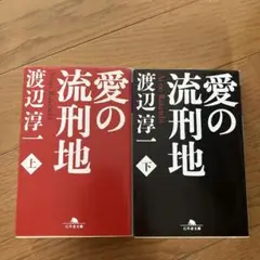 愛の流刑地