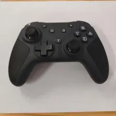 inklink Switch コントローラー ブラック
