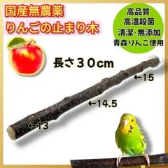 Item thumbnail for item 733083ed-bc1a-4494-bc20-2cbb624f2eab