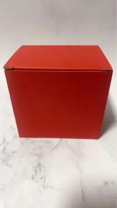 2PM ニックン コアラクンマグカップ