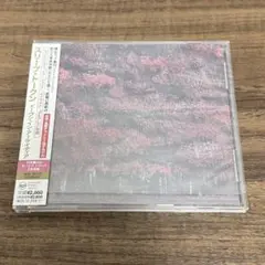 Sleep Token Even In Arcadia【国内盤】
