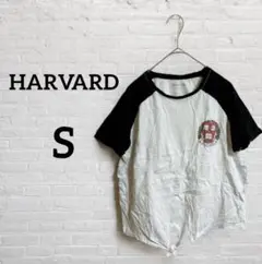 Item thumbnail for item 8b57d181-f7fe-4186-9655-485ada616301