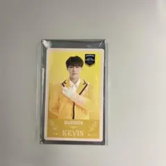 BUDDiiS KEVIN エビライ 2025 トレカ