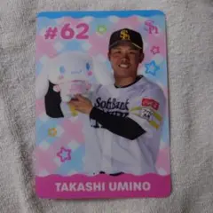 シナモロールコラボ ハードブロマイド 海野隆司