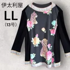 極美品】伊太利屋　野生のエレガンス　豹とバラ　薄手ニットカットソー　13号　LL