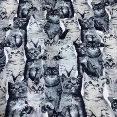 猫柄生地