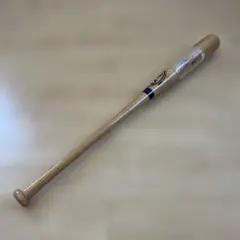 Item thumbnail for item eb9874f5-4667-48fe-9c76-1b0591314c42