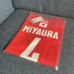 宮浦健人選手　日本代表ユニフォーム2023 Lサイズ 男子日本代表応援Tシャツ 宮浦健人 ユニフォーム （限定セール