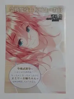 空戦魔導士候補生の教官 エミリー ゲーマーズ限定 非売品