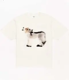 WILD ANIMALS アニマルTシャツ FUDGE掲載