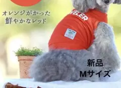 iDOG COOL ME ロゴプリントメッシュタンク M 犬服 小型犬 ひんやり