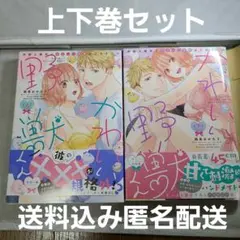 かわいい野獣くん～外国人彼氏とひよっこ恋愛はじめました～　　縞島おせろう