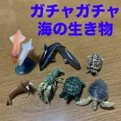 ガチャガチャ　海の生き物　９匹セット