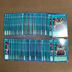 No.1058 6遊戯王 洗脳ブレインコントロール ノーマル48枚