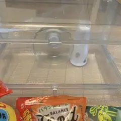 Item thumbnail for item 29fc2b20-c4e2-4fea-957b-67b96d58533b