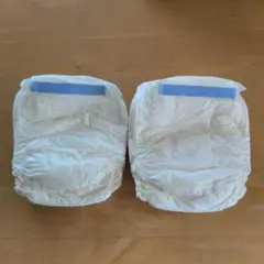 ライフリー ズレずに安心 紙パンツ専用尿とりパッド 4枚