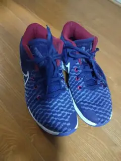 Nike バッシュ ヤニスモデル