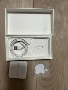 iPhone SE Lightningケーブル　SIMピン