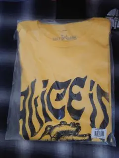 Alice In Chains　M