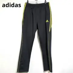 Item thumbnail for item 3e267043-152e-4f98-9469-155918e8275d