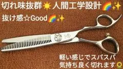 切れ味抜群セニングシザー美容師サロン仕様トリマートリミングシザー理容師ペットOK