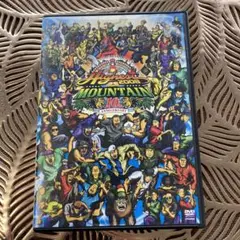 ハイエストマウンテン 2008 DVD ☆2枚組☆