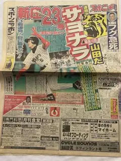 アンディ フグ スポーツニッポン 新聞 2000年 当時物 現状 経年劣化