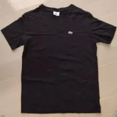 ラコステ　サイズ4 (L)