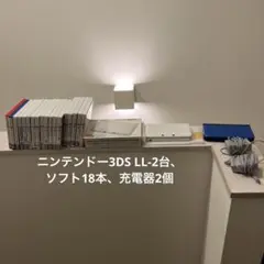 ニンテンドー3DS LL-2台、ソフト18本、充電器2個
