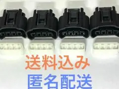 Item thumbnail for item 3cdd2e46-7e9a-4132-981f-72b6e8232eee