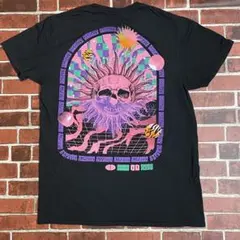 《ビッグプリント》CHEMISTRYロックTシャツスカルサン髑髏太陽サイズM