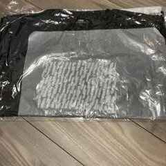 北海道マラソン　2025 サカナクションTシャツ Lサイズ　ポリエステル100%