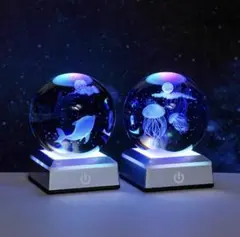 水族館型LEDライト 3Dデザイン