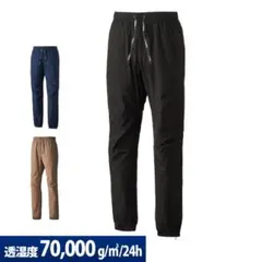 Item thumbnail for item 07eca34a-83ca-4488-ba42-96ff076557e2