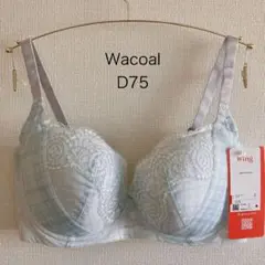 Item thumbnail for item c75a48d8-63e4-4f11-950b-5cd385acc4f5