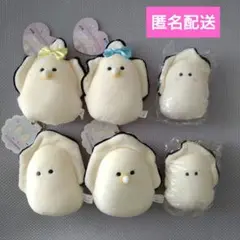 つぶらな瞳の和食屋　むぎゅぬいなまがき　６個セット【匿名配送】