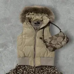 Item thumbnail for item 6b4bce8d-79a7-4a67-a542-19de2bd7a3d7