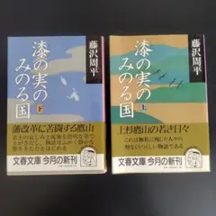 藤沢周平　漆の実のみの国 上・下巻セット　文庫本