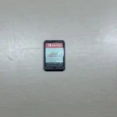 Nintendo Switch あつまれどうぶつの森