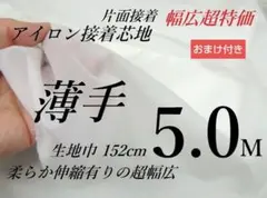 Item thumbnail for item a48c4085-1122-47a3-b3e4-6b077e299233