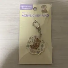 可愛い嘘のカワウソのキーホールダー