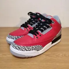 極美品 NIKE AIRJORDAN 3 RETRO SE