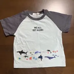 【美品】SLAP SLIP 海洋生物Tシャツ 100サイズ