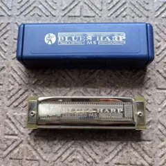 Item thumbnail for item 673f27ae-41b4-43c6-8d88-0ab502b2500f