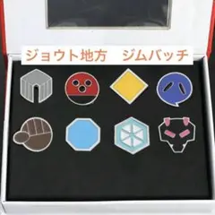 【世界300個限定希少品】ポケモン ジムバッジ コンプリートセット XY ポケモンXYのジムバッジがグッズ化。半立体仕様のコンプリート