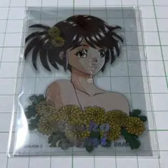 ときめきメモリアル 和泉恭子 ホロレア ファイナルコレクション カード