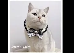 Item thumbnail for item 84dbd44a-3fff-465e-97cd-b5fd4af2182a